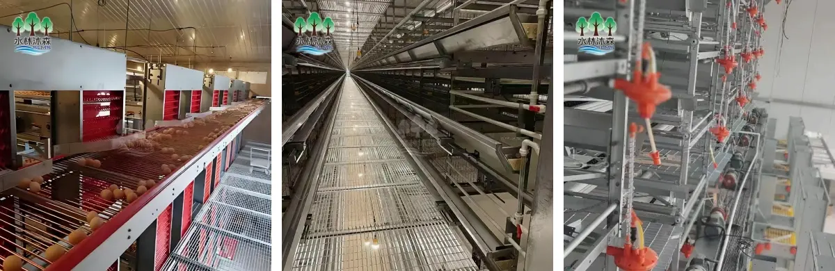 8-layer laying hen cage