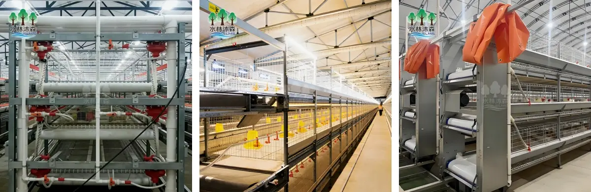 Three-layer laying hen cages