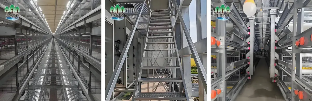 Eight-layer broiler cage farming