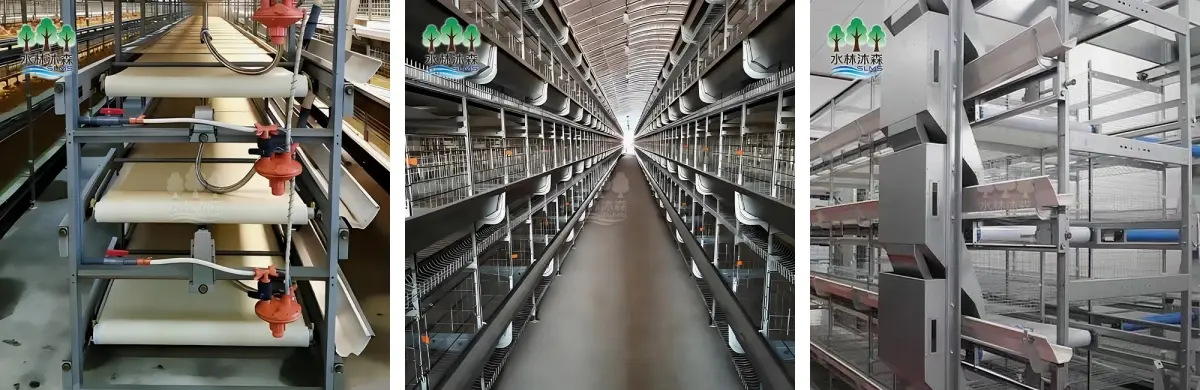 Four-layer chicken cage