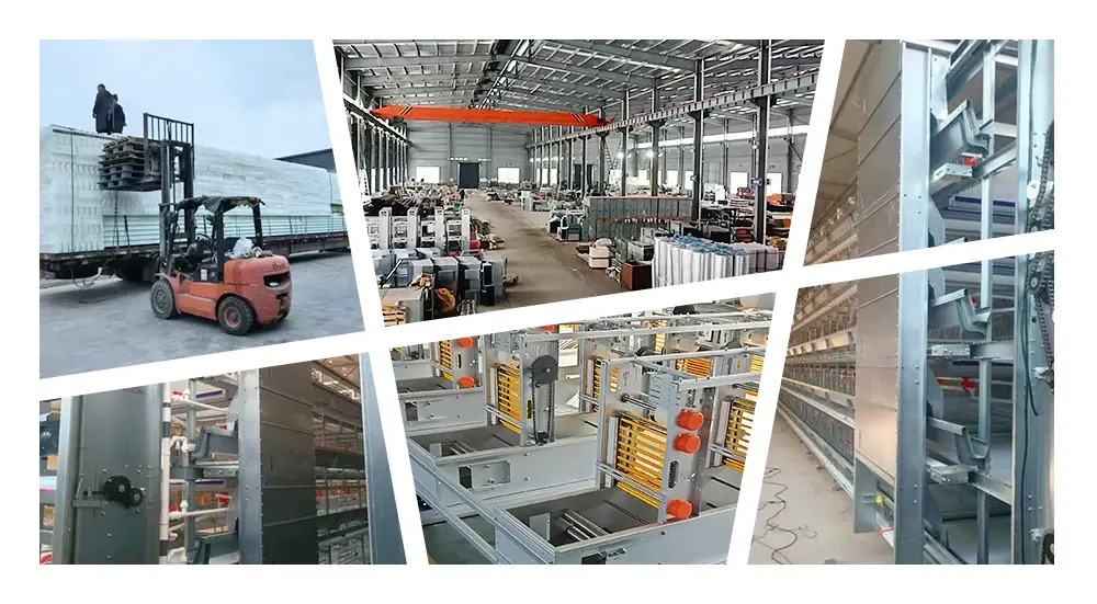 Four-stage Broiler Housing Cage