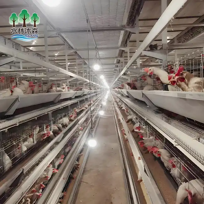 Four-tier Layer Cage