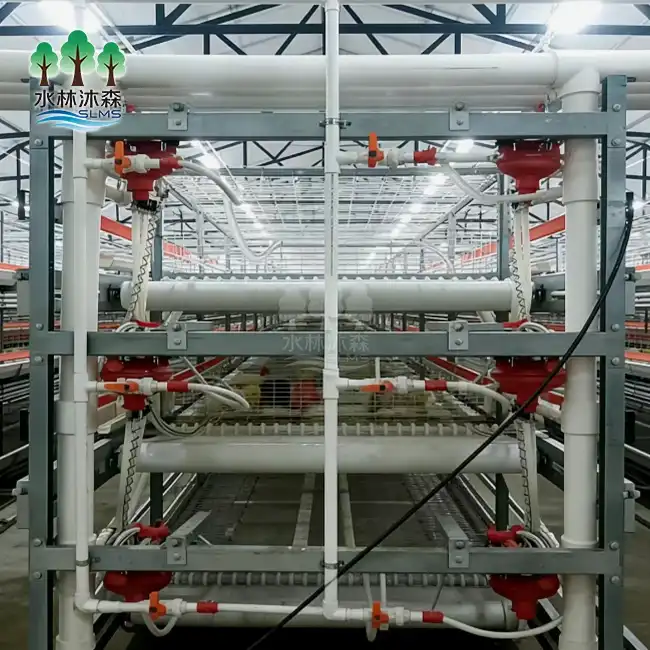3-Level Broiler Chicken Cage