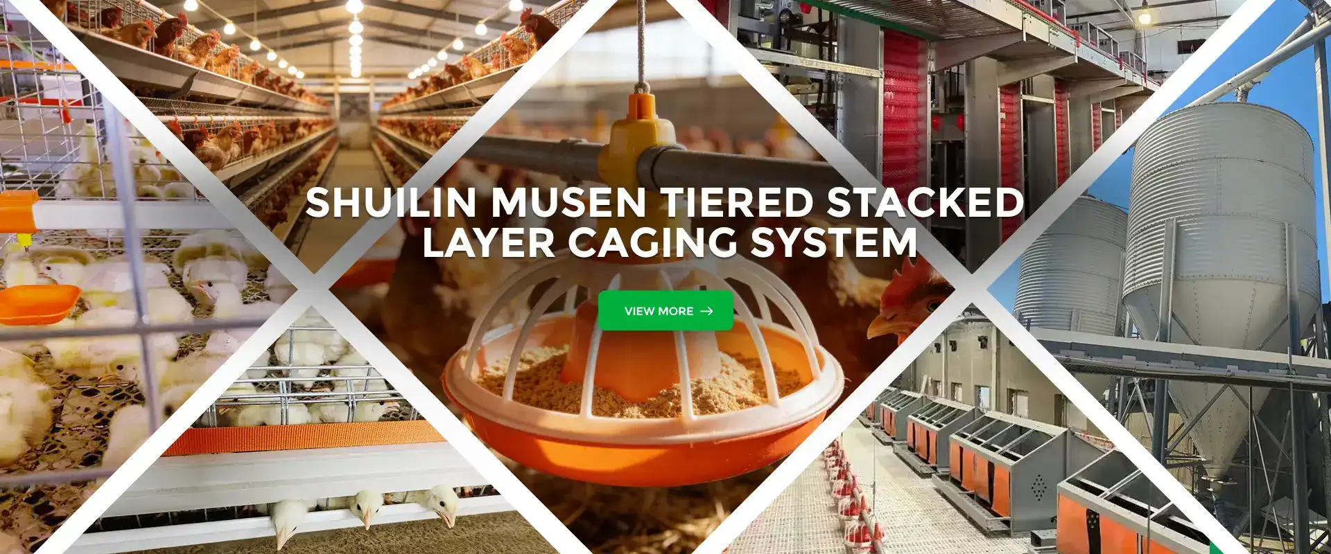 banner1(14)_1766999889042