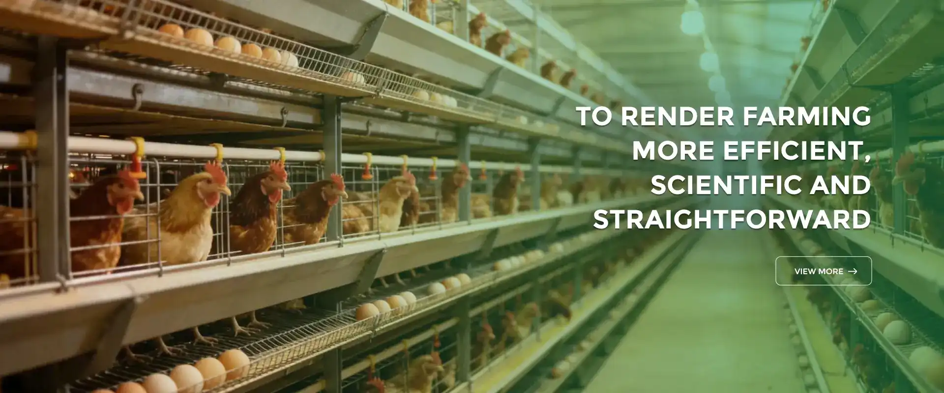 banner2(13)_1766999895972