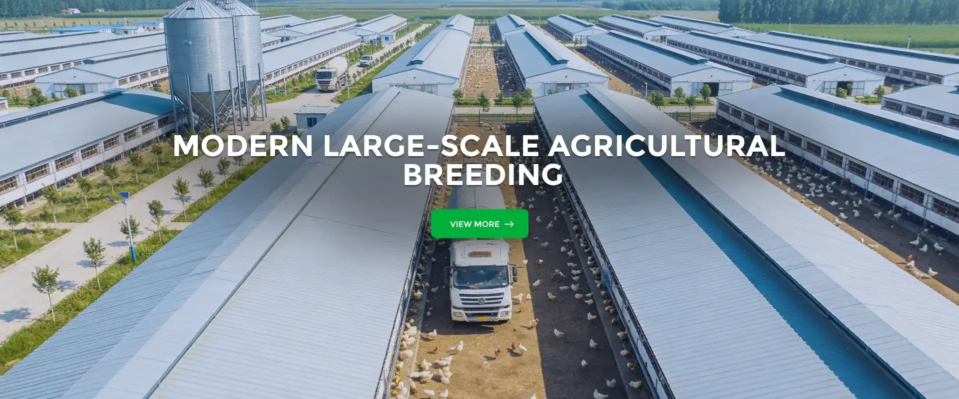 banner3(13)_1766999901133